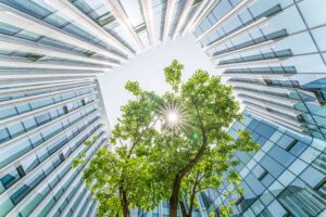 Mengapa ESG (Environmental, Social, Governance) Penting bagi Perusahaan: Membangun Keberlanjutan dan Kinerja Jangka Panjang